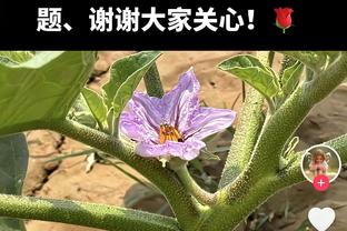 中规中矩！拉塞尔半场三分6中3 贡献11分2篮板1助攻